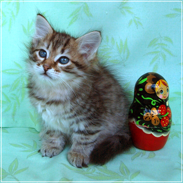 Емеля