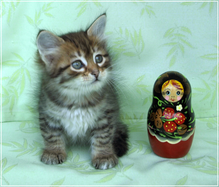 Есаул