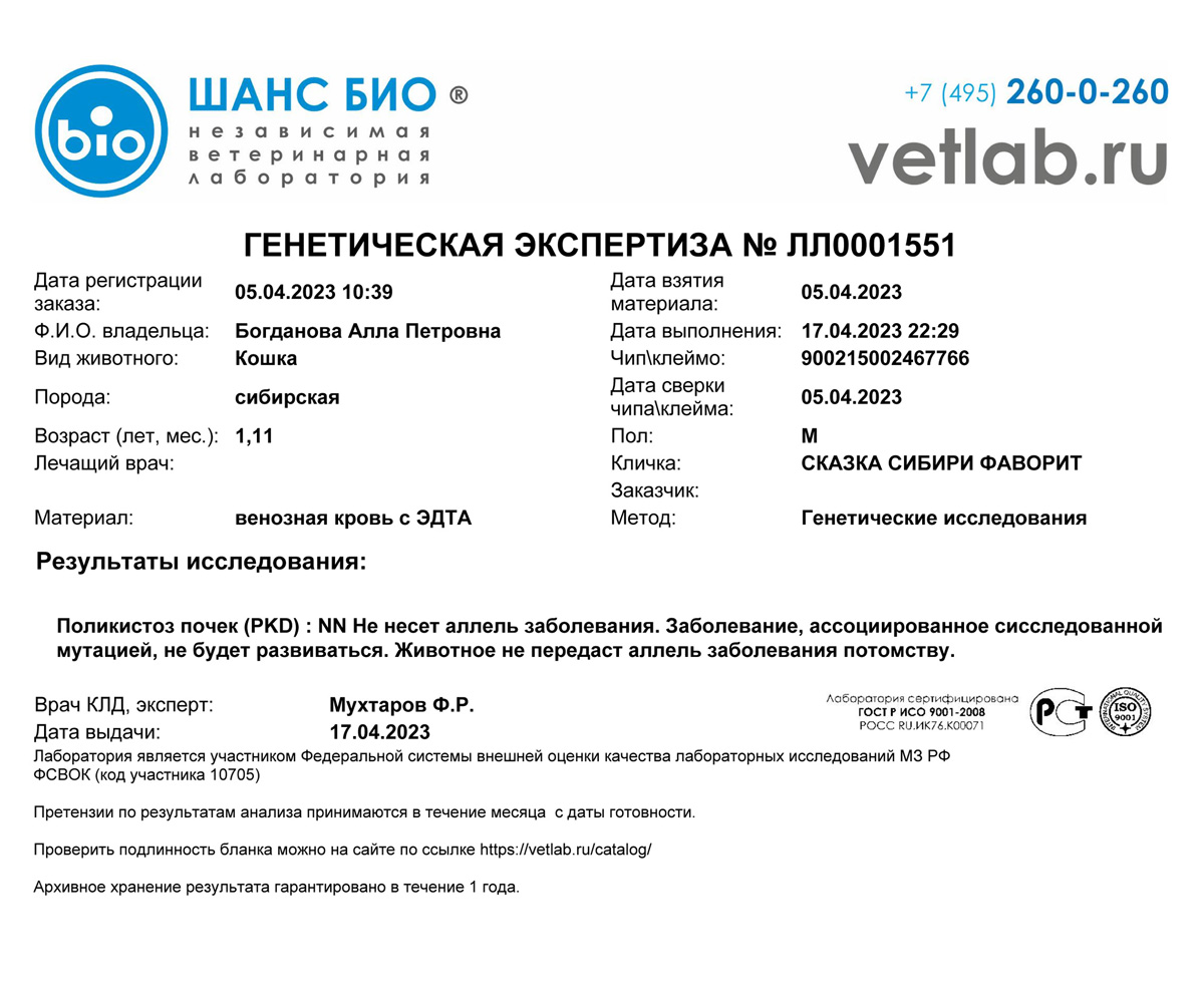 Фаворит Сказка Сибири