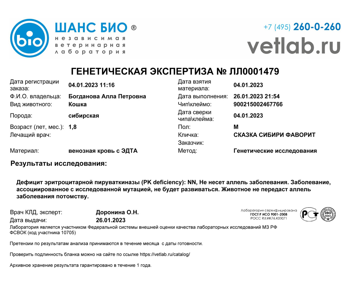 Фаворит Сказка Сибири