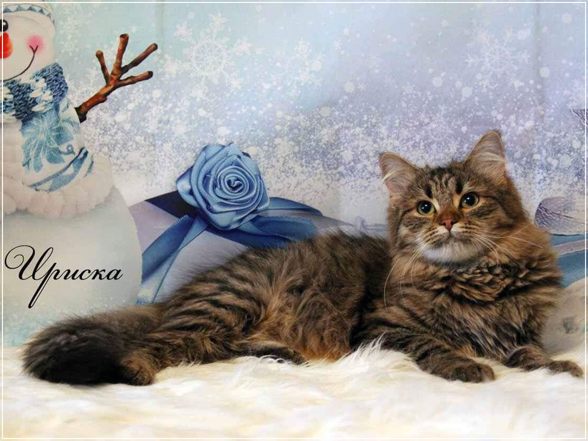 Ириска