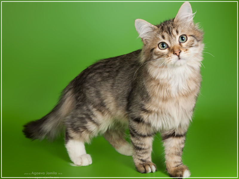 Xanth