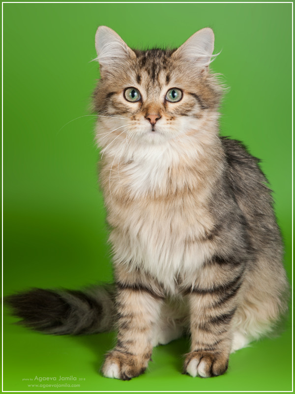 Xanth