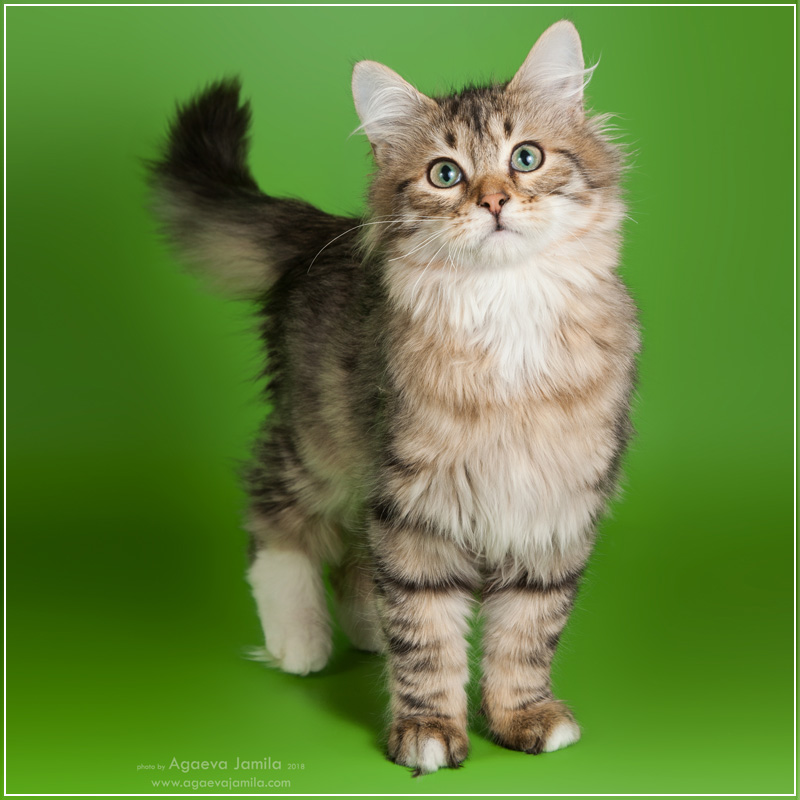 Xanth