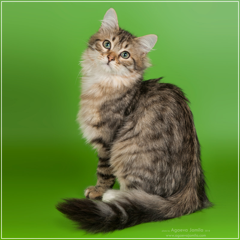 Xanth