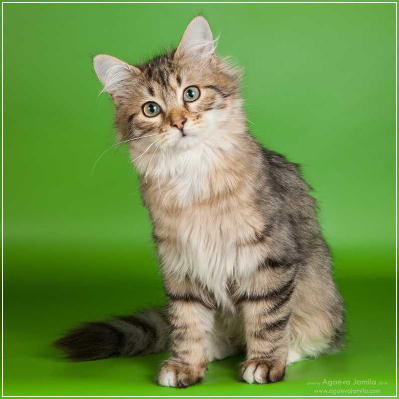 Xanth