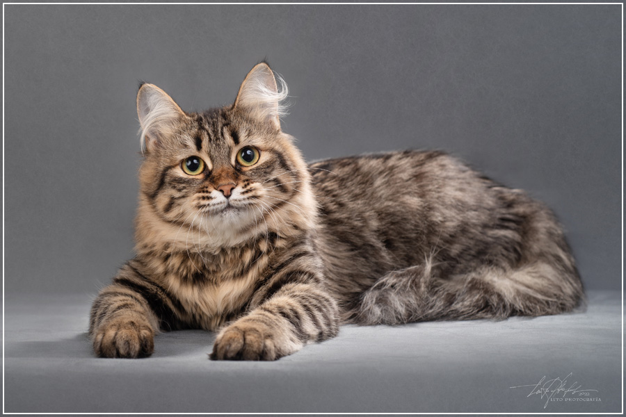 Клубничка
