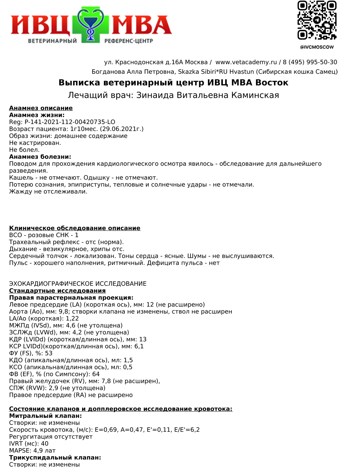 Хвастун Сказка Сибири